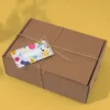 Kraft Mailer Boxes