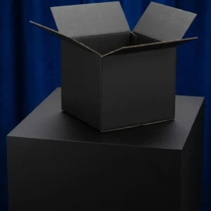 Luxury Black Mailer Boxes