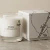 White Candle Boxes